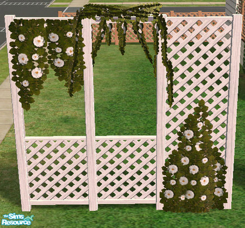 Sims 2 — Climbing Plants -  White Roses by Simaddict99 — white, climbing roses