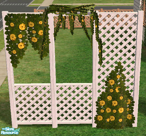 Sims 2 — Climbing Plants -  Yellow Roses by Simaddict99 — yellow, climbing roses
