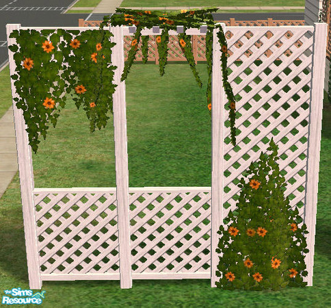 Sims 2 — Climbing Plants - Clematis - orange by Simaddict99 — orange clematis