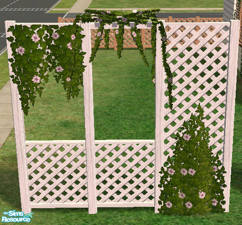 Sims 2 — Climbing Plants -  Clematis - White by Simaddict99 — White clematis - Virginia Bower recolor.
