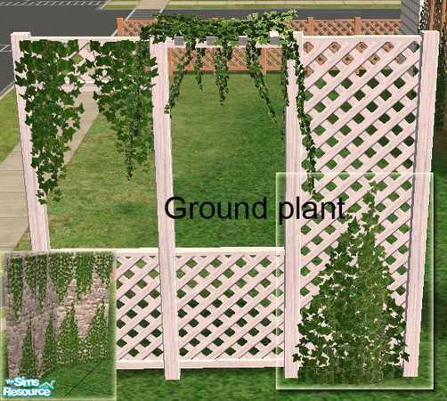 Sims 2 — Climbing Plants -  Ground Plant Mesh by Simaddict99 — this is the ground, climbing plant mesh. Also works nicely