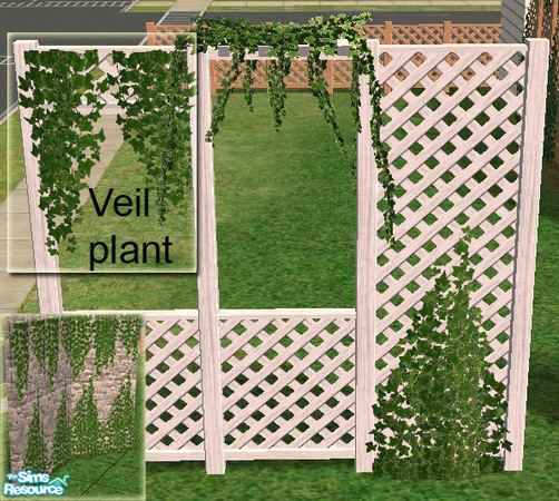 Sims 2 — Climbing Plants -  Veil Plant MESH by Simaddict99 — this is the hanging - veil like plant mesh. Also works