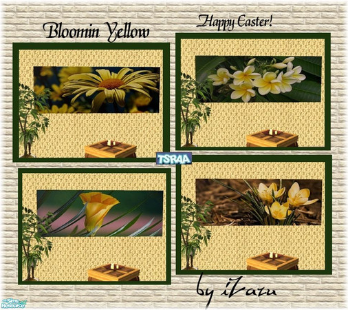 Sims 2 — Bloomin Yellow by iZazu — Bloomin Yellow Set includes 4 Paintings for Easter. A nice addition to any room all
