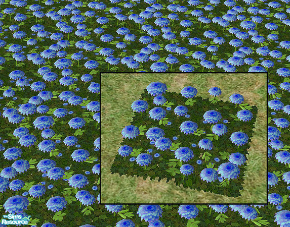 Sims 2 — Plastic Dahlias - turquoise  by chrissy6930 — Recolor of Plastic Dahlias in turquoise. Requires that file to