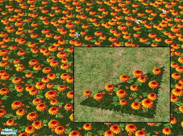 Sims 2 — Dahlias half-tile Mesh by chrissy6930 — Regular flower Dahlias half-tile. Takes all its colors from Dahlias of