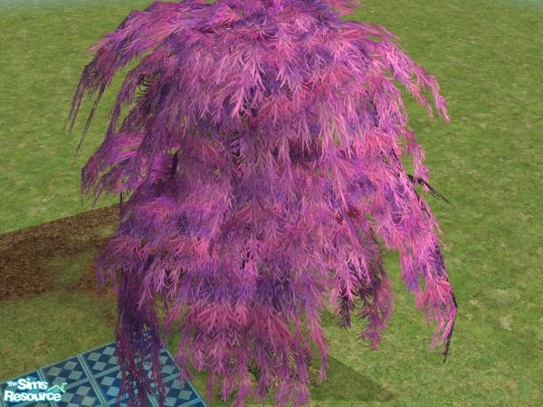 Sims 2 — Purple and Pinkish Weeping Willow by Agent420 — A weird colored tree for weird places. Found in Build