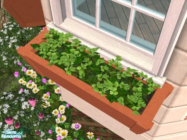 Sims 2 — Window Box (Green Privet Leaves) by Cyclonesue — Window box recolour. Fits all standard-height windows. Don't