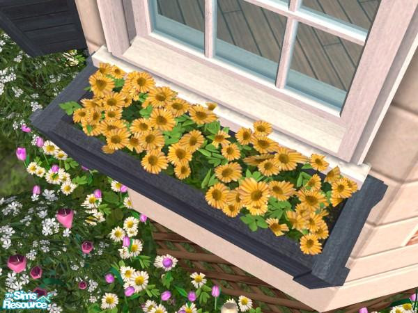 Sims 2 — Window Box (Orange Daisies) by Cyclonesue — Window box recolour. Fits all standard-height windows. Don't forget