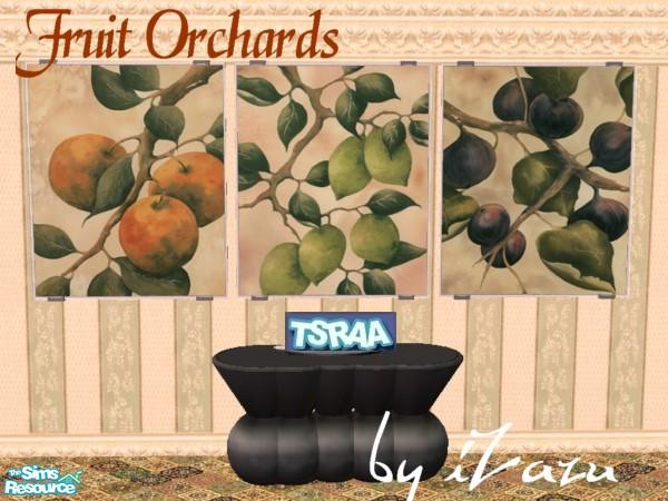 Sims 2 — Fruit Orchards by iZazu — Set includes 3 pictures. Enjoy! by iZazu... TSRAA