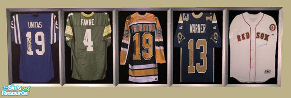 Sims 2 — Framed Jersey by Maree464 — You will find under The Lady in Red Painting.... 