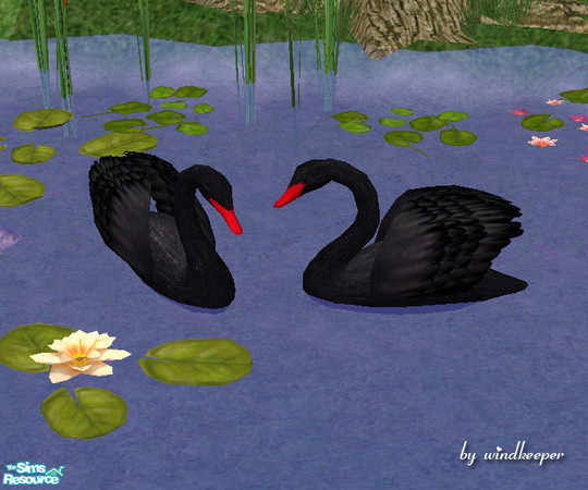 Sims 2 — Black swan by Windkeeper — *Jun 17/06 updated to remove shine* Recolor of "White swan" from this set.