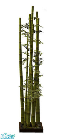 Sims 2 — Key Largo  - Smaller Bamboo by Sasilia — 