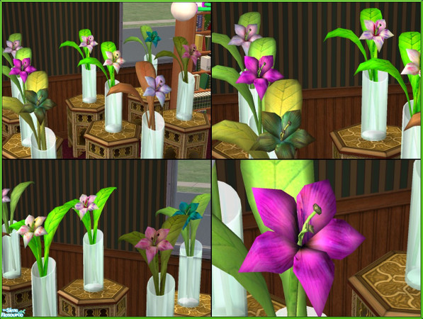 Sims 2 — From the 420 Flower Shop Part 1 by Agent420 — 8 Fresh new beautiful flowers available.They are very colorful and