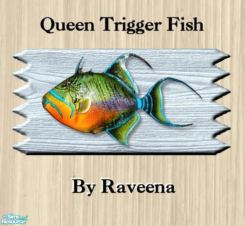 Sims 2 — Mounted Queen Trigger Fish by Raveena — You will need BitsyBus's 2-tile mesh file for this object to work in the
