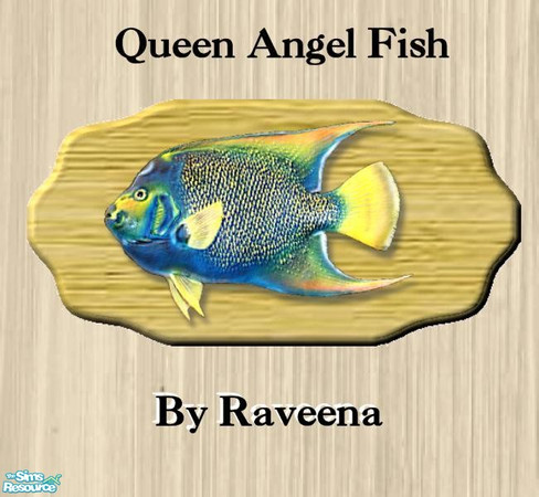 Sims 2 — Mounted Queen Angel Fish by Raveena — You will need BitsyBus's 2-tile mesh file for this object to work in the