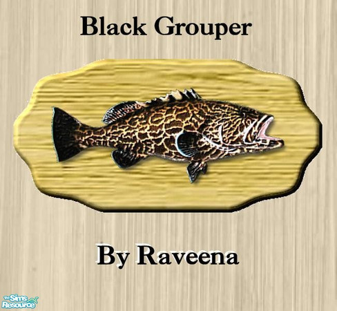 Sims 2 — Mounted Black Grouper by Raveena — You will need BitsyBus's 2-tile mesh file for this object to work in the