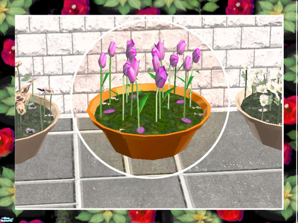 Sims 2 — Patio Flowers-Tulips by Dgandy — Dress up your patio, deck or entry with these delicate potted flowers. If you