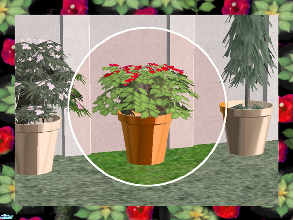 Sims 2 — Patio Shrubs-Bouganvilla by Dgandy — Dress up your patio, deck or entry with these lush potted shrubs. If you