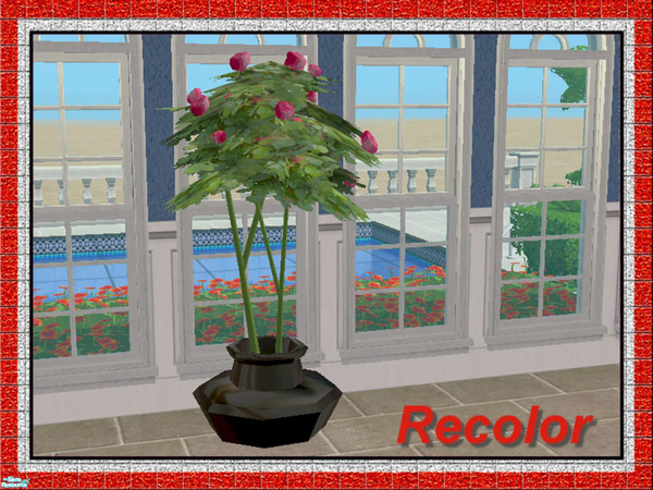 Sims 2 — Rose Tree-Pink Roses in Black Pot by Dgandy — Add a touch of elegance with these Rose Trees. Pots and Rose