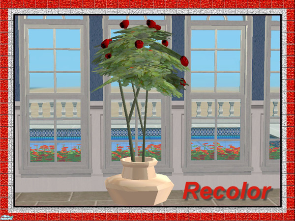 Sims 2 — Rose Tree-Red Roses in Ivory Pot by Dgandy — Add a touch of elegance with these Rose Trees. Pots and Rose Colors