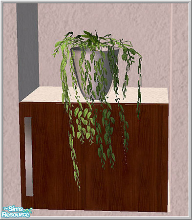 Sims 2 — Kitchen1 - B43 Counterplant Kit1 by Birgit43 — 