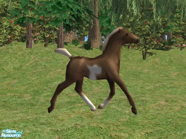Sims 2 — Breyer inspired Foals Recolor White Spot by Suiryuue — Recolor. Foal object was inspired by a Breyer model. Can