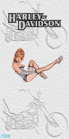 Sims 2 — TL-Biker Wall Bike & Silver Girl&HD by TabbyLou — Bike Backgrnd with Silver Girl & HD Decals