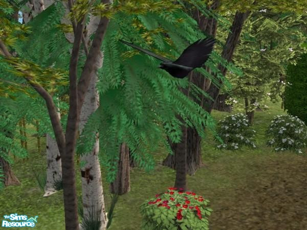 Sims 2 — Flying Crow 3 by Suiryuue — Mesh file. Can be recolored. Can be used with or without any EP. Decorative only.