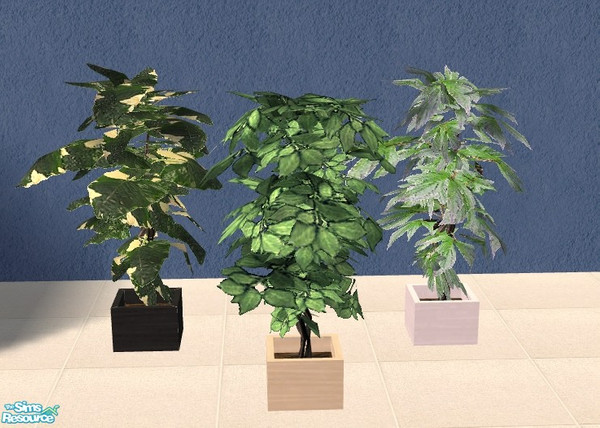 Sims 2 — Maya Bedroom set - Plant MESH by Bitzybus — Plant MESH. Comes in three pot colors and three types of foliage.