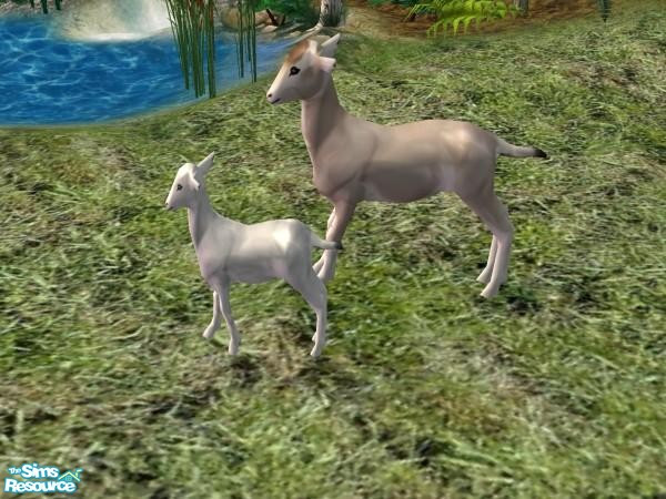 Sims 2 — Female Goat by Suiryuue — Female goat to add to your Sim farms. It can be found under sculptures and should work