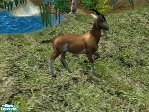 Sims 2 — Male Goat by Suiryuue — Male goat to add to your Sim farms. It can be found under sculptures and should work