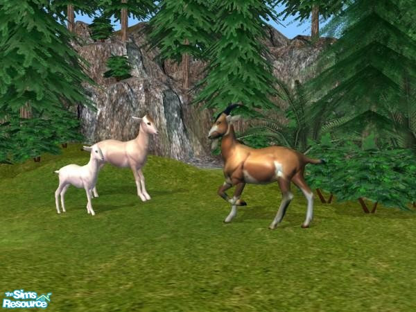 Sims 2 — Goats by Suiryuue — Goats to add to your Sim farms. They can be found under sculptures and should work with or
