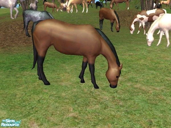 Sims 2 — Grazing Mare Mesh by Suiryuue — Grazing mare for your sims farm yard. Base mesh is the brown horse with black