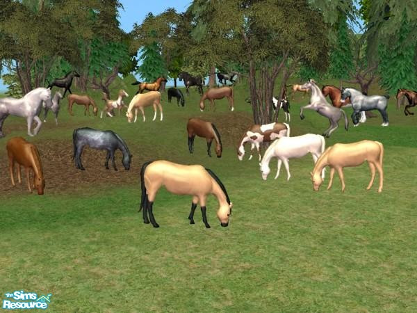 Sims 2 — Grazing Mare by Suiryuue — Grazing mare for your sims farm yard. Base mesh is the brown horse with black mane,