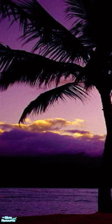Sims 2 — Afternoon in Paradise Wall Mural - Panel 1 by TrailRunner782 — A beautiful mural depicting a sunset in Hawaii.