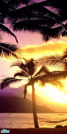 Sims 2 — Afternoon in Paradise Wall Mural - Panel 3 by TrailRunner782 — A beautiful mural depicting a sunset in Hawaii.