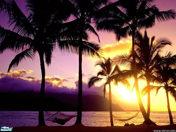 Sims 2 — Afternoon in Paradise Wall Mural by TrailRunner782 — A beautiful mural depicting a sunset in Hawaii.