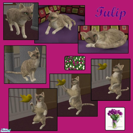 Sims 2 — Tulip by hiedibear75 — Take home this lovely little flower and watch your relationship and love grow just like