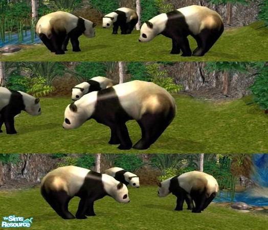 Sims 2 — Panda by Suiryuue — A panda to add to your Sim Zoo. New Mesh file and it is recolorable. Please do not clone or