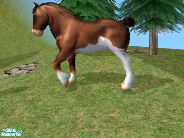 Sims 2 — Clydesdale Mesh by Suiryuue — Hi Folks, here's a Clydesdale to add to your Sim Farm. The mesh is brown and white