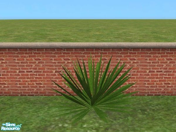 Sims 2 — Rigo Outdoor Shrub 1 by n-a-n-u — 