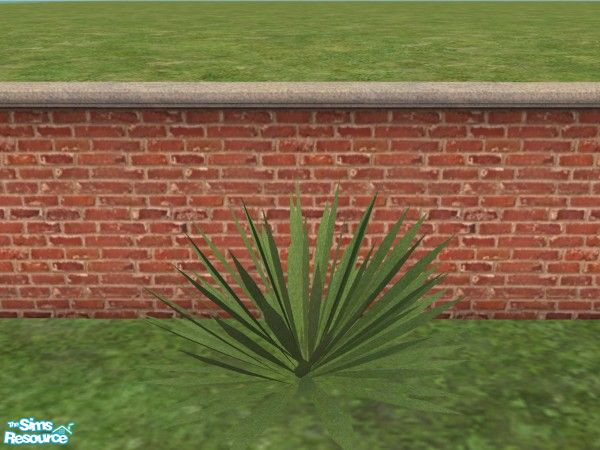 Sims 2 — Rigo Outdoor Shrub 2 by n-a-n-u — 
