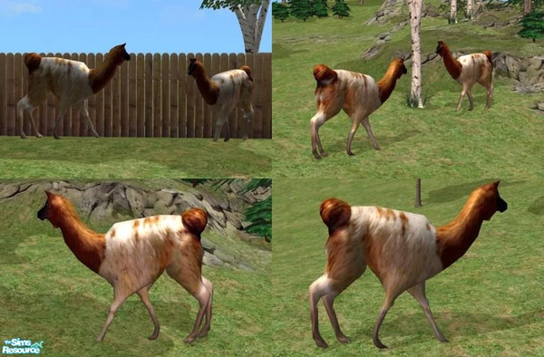 Sims 2 — Llama by Suiryuue — Hi Folks, here's a Llama to add to your Sim Zoo or Farm. Please do not clone or redistribute
