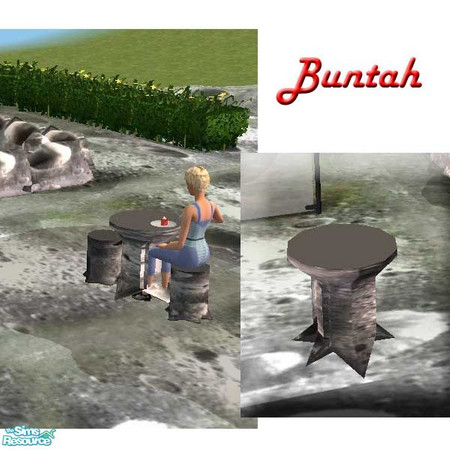 Sims 2 — Crater Table by buntah — When all you have are moon craters, that's what you need to use for a table. This
