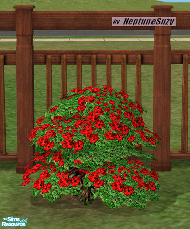 Sims 2 — NSC Plant - Plastic Phlox 8 by Neptunesuzy — Your sims will love this red Plastic Phlox Plant! Does not need