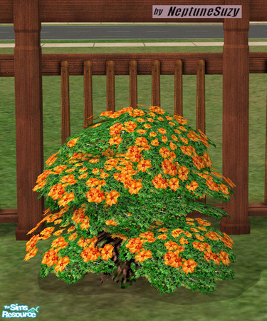 Sims 2 — NSC Plant - Plastic Phlox 9 by Neptunesuzy — Your sims will love this orange Plastic Phlox Plant! Does not need