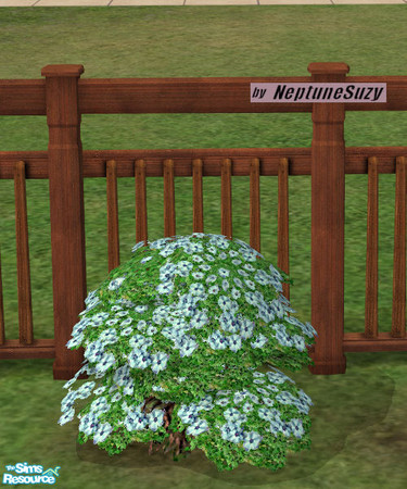 Sims 2 — NSC Plant - Plastic Phlox 4   by Neptunesuzy — Your sims will love this pastel blue colored Plastic Phlox Plant!