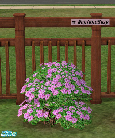 Sims 2 — NSC Plant - Plastic Phlox 6 by Neptunesuzy — Your sims will love this pastel purple pink colored Plastic Phlox