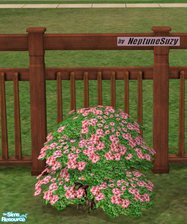 Sims 2 — NSC Plant - Plastic Phlox 7 by Neptunesuzy — Your sims will love this pastel pink colored Plastic Phlox Plant!