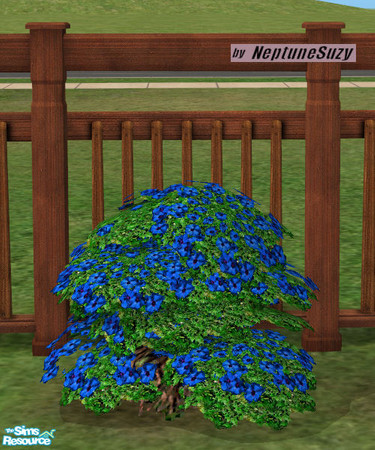 Sims 2 — NSC Plant - Plastic Phlox 1 by Neptunesuzy — Your sims will love this rich blue colored Plastic Phlox Plant!